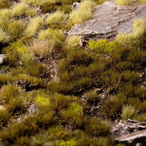 Swamp 4 mm - Wild