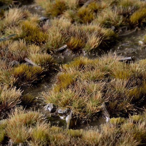 Marshland Set - Wild (4 mm / 6 mm)