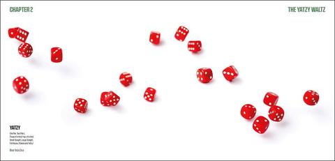 DICE - Rendezvous with Randomness (coffee table photobook of Dice)