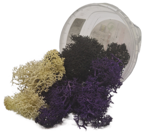 Base X Basetopping: MOOS³ SET ALIEN FLORA (invasion series)