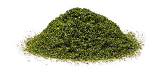 The Army Painter: Battlefield Grass Green (Neu)