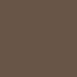 Vallejo Game Color Ink: 203 Wash Umber Shade, 17 ml