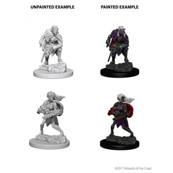 D&D Nolzur's Marvelous Unpainted Miniatures - Drow