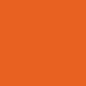 Vallejo Game Color: 008 Orange Fire, 17 ml