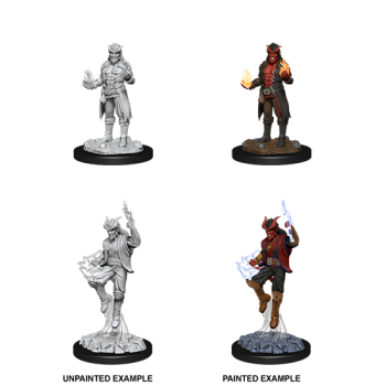 D&D Nolzur's Marvelous Miniatures - Male Tiefling Sorcerer
