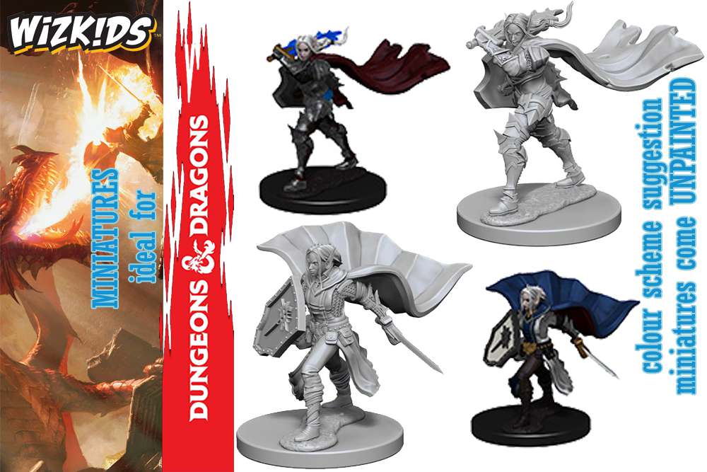 Pathfinder Deep Cuts Miniatures Human Female Paladin