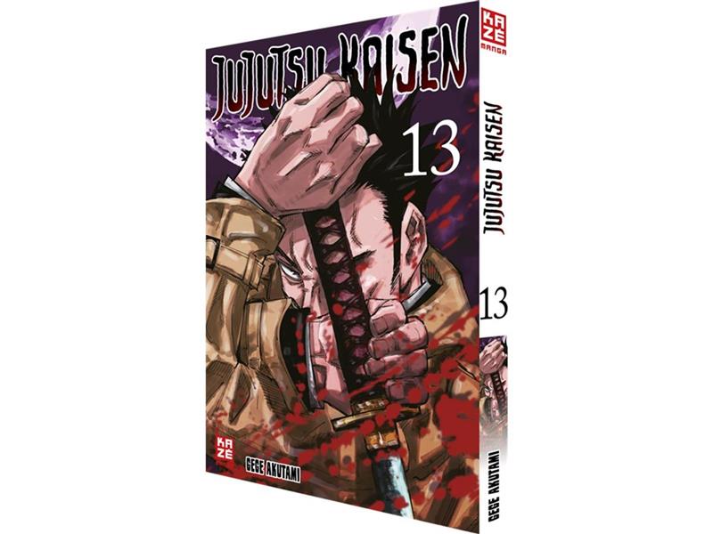 Jujutsu Kaisen 13