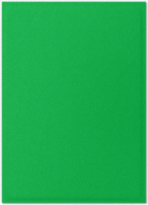 Dragon Shield Standard Hüllen - Dual Matte Apple Green & Silver (100 Hüllen)