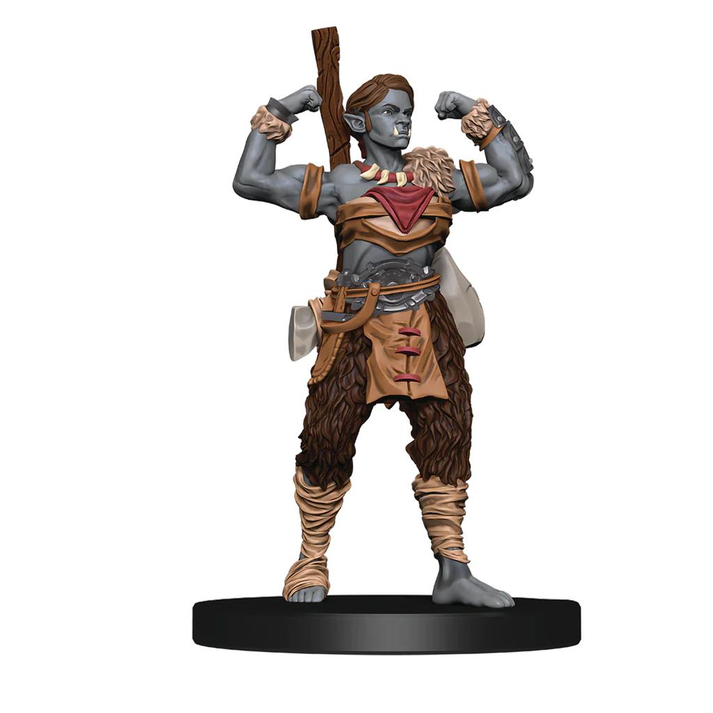 Dungeons & Dragons Brettspiel Trials of Tempus - Premium Edition (EN)