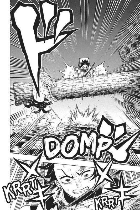 Demon Slayer - Kimetsu no Yaiba 05