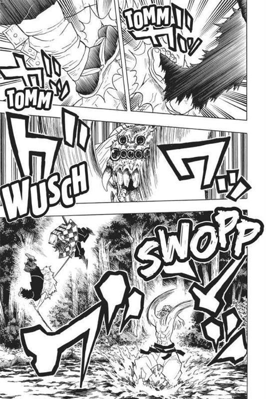 Demon Slayer - Kimetsu no Yaiba 05