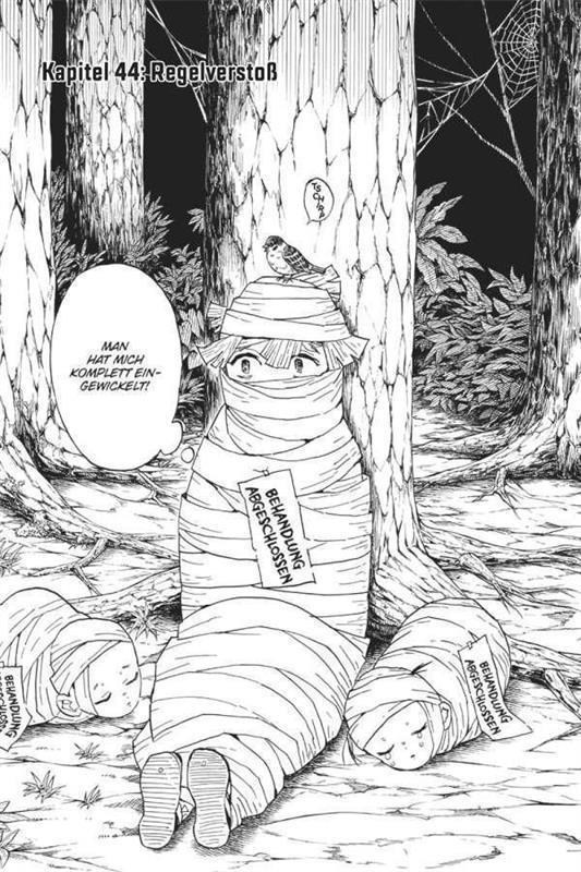Demon Slayer - Kimetsu no Yaiba 06