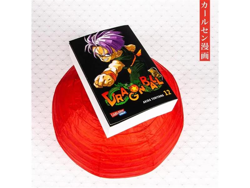 Dragon Ball Massiv 12
