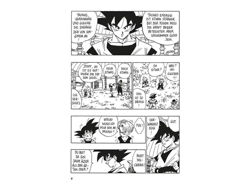 Dragon Ball Massiv 14