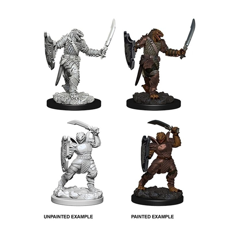 D&D Nolzur's Marvelous Miniatures - Dragonborn Female Paladin