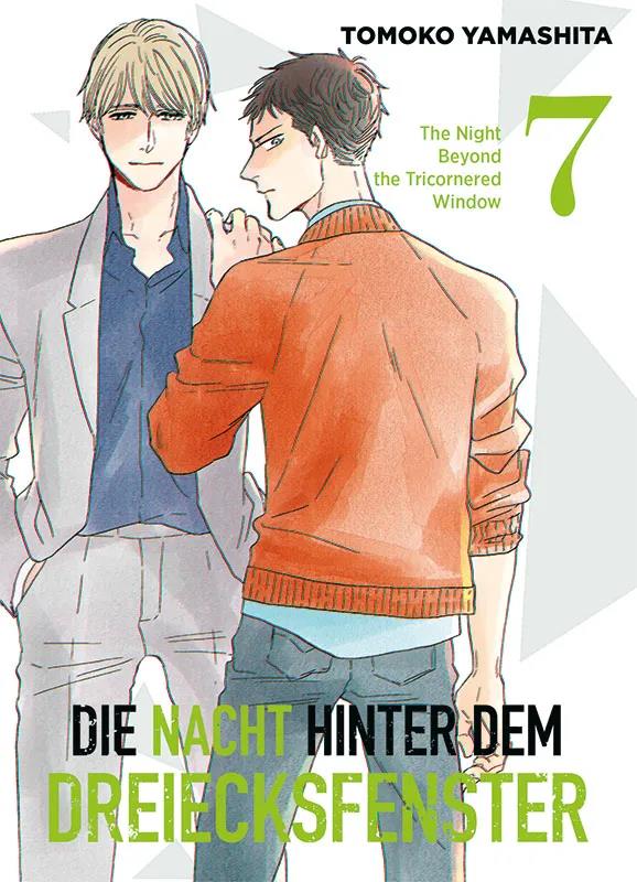 Die Nacht hinter dem Dreiecksfenster 07