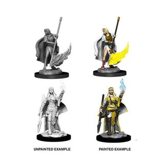 Pathfinder Battles Deep Cuts - Female Human Oracle (Magic User)