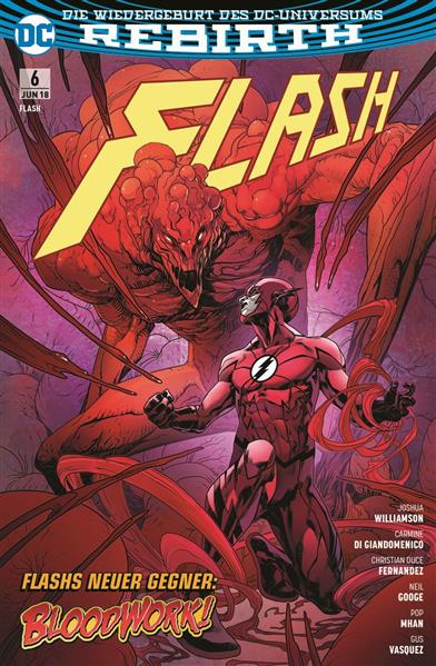 Flash (Rebirth) 06: Negativ-Flash