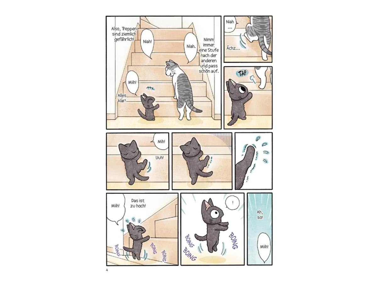Kleiner Tai & Omi Sue - Süße Katzenabenteuer 03
