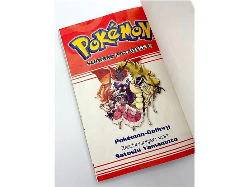 Pokémon Schwarz 2 und Weiss 2 04