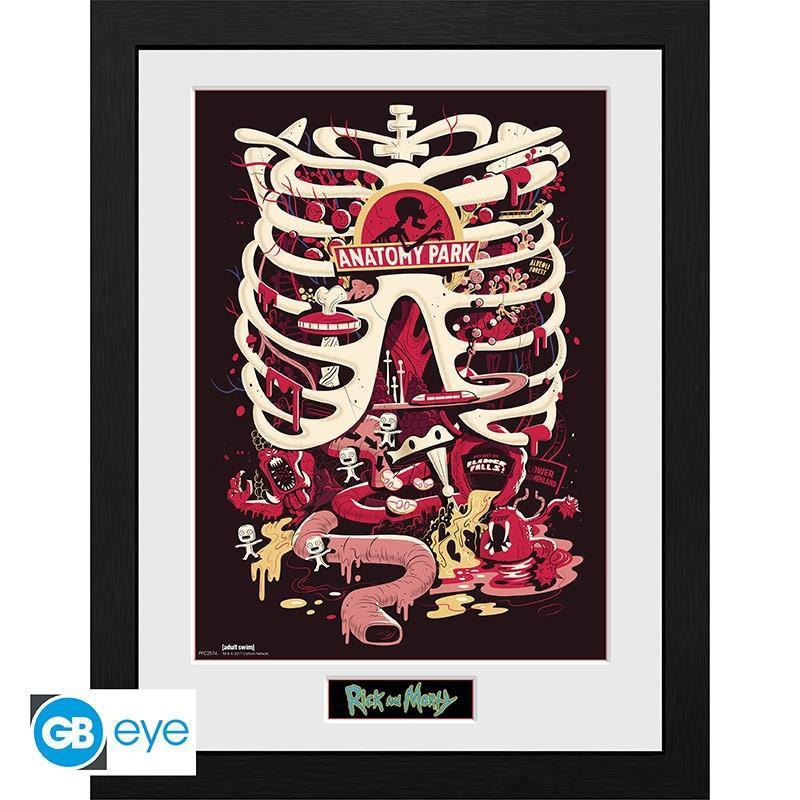 Rick and Morty Poster im Rahmen "Anatomy Park" 30 x 40 cm