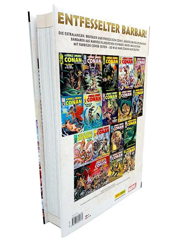 Savage Sword of Conan: Classic Collection 2