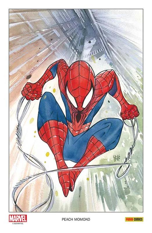 Spider-Man Collectors Edition