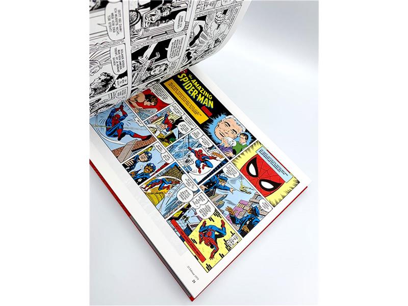Spider-Man Newspaper Comic Collection 02