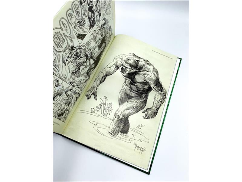 Swamp Thing von Alan Moore 01 Deluxe Edition