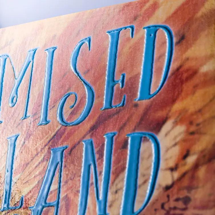 The Promised Neverland 12