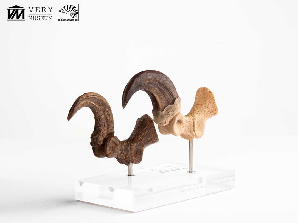 Jurassic Park ECC Elite Creature Line Statue Velociraptor Foot Claw and Fossil Claw Set 20 cm