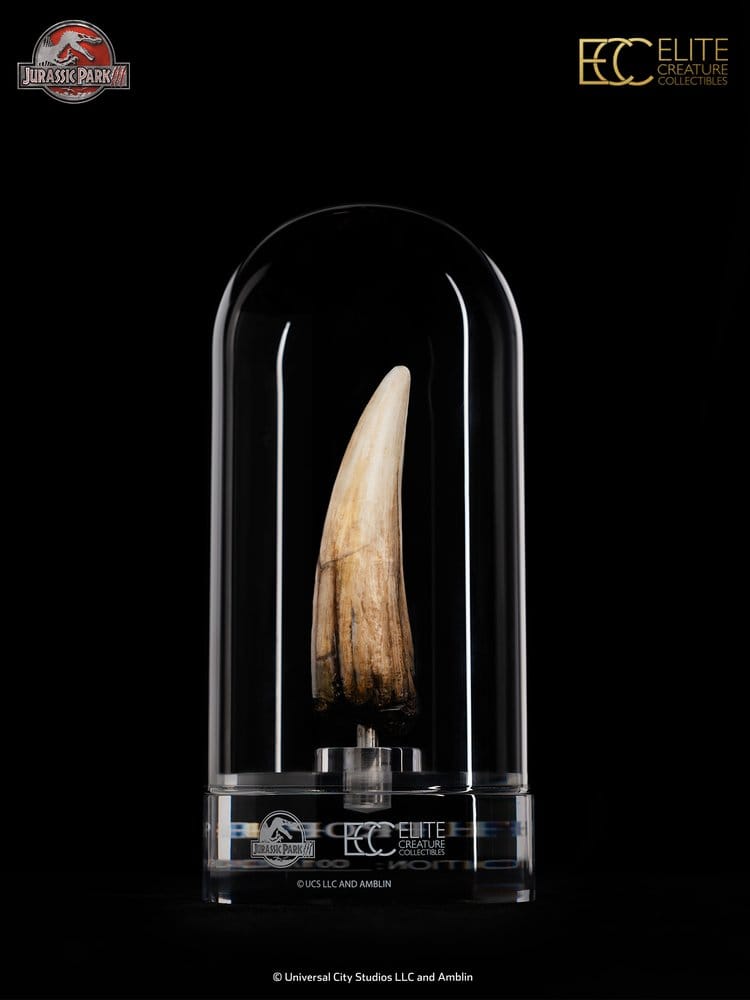 Jurassic Park III Prop Replica 1/1 Scale Spinosaurus Tooth, 14 cm