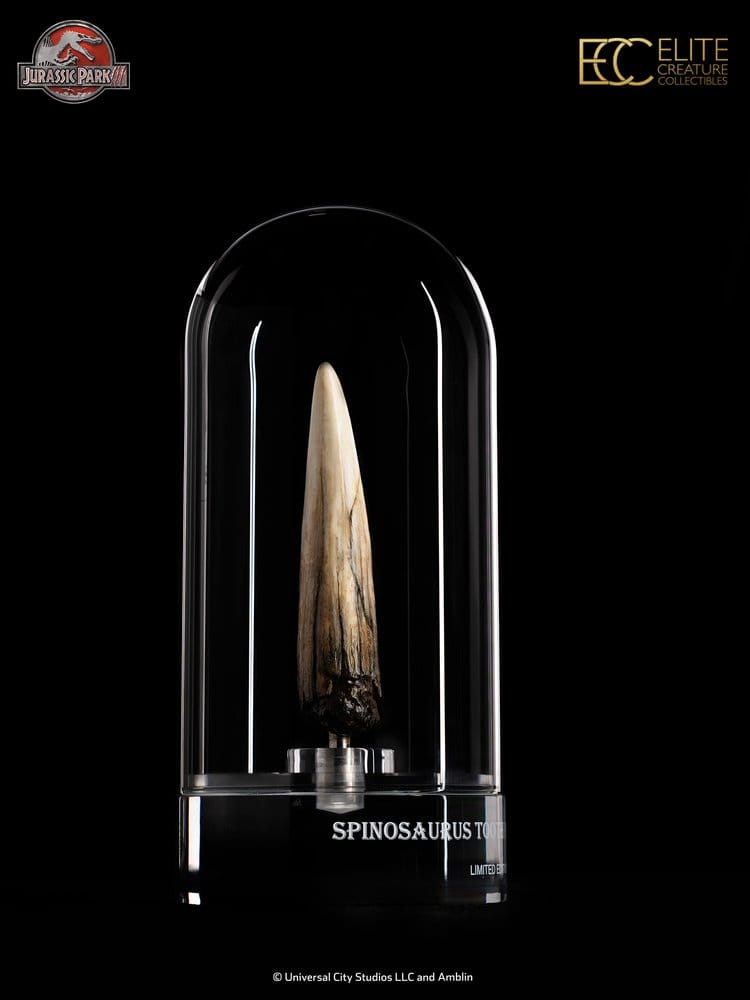 Jurassic Park III Prop Replica 1/1 Scale Spinosaurus Tooth, 14 cm