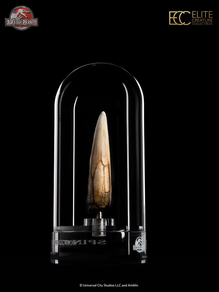 Jurassic Park III Prop Replica 1/1 Scale Spinosaurus Tooth, 14 cm