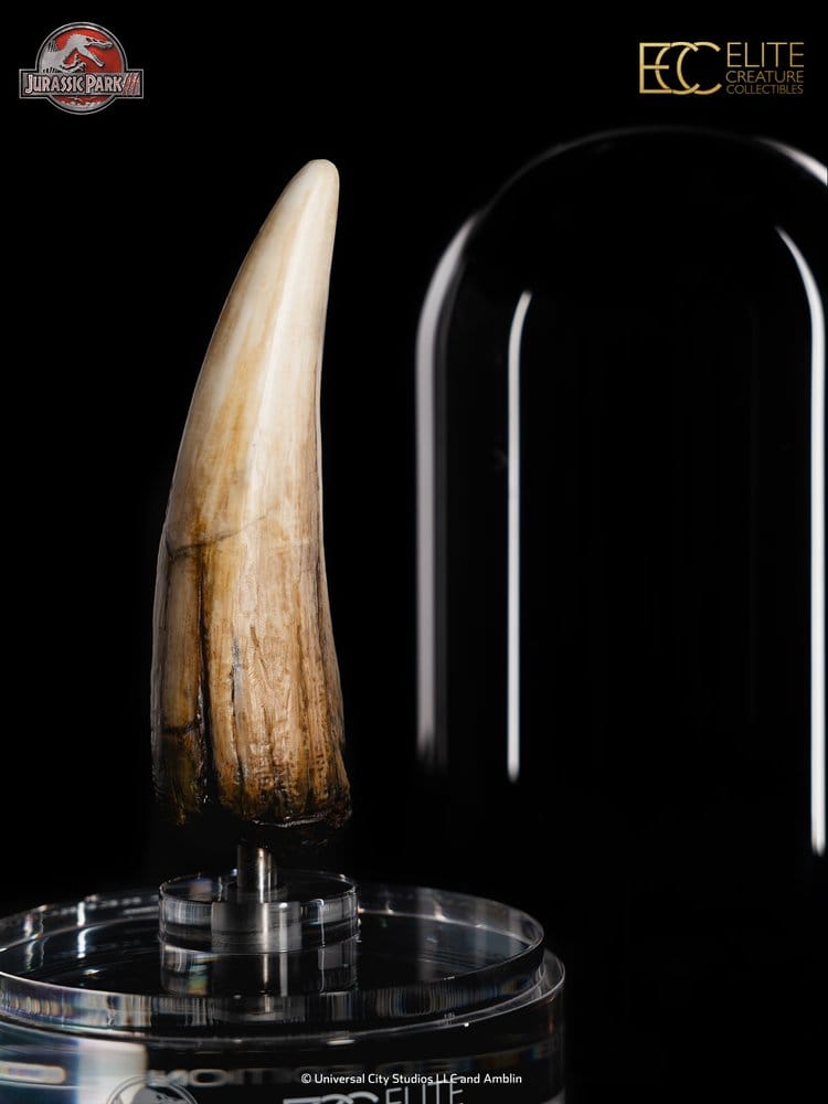 Jurassic Park III Prop Replica 1/1 Scale Spinosaurus Tooth, 14 cm