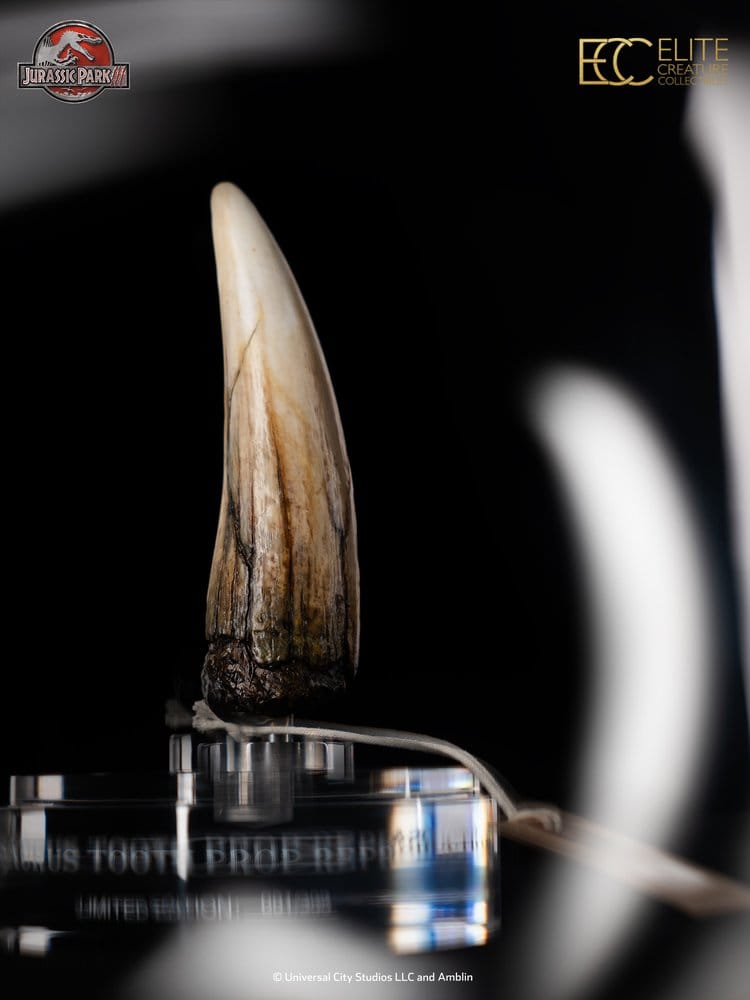 Jurassic Park III Prop Replica 1/1 Scale Spinosaurus Tooth, 14 cm