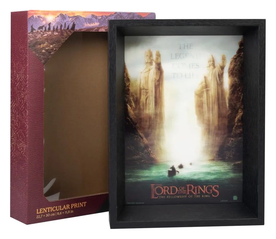 Der Herr der Ringe Gerahmter Druck