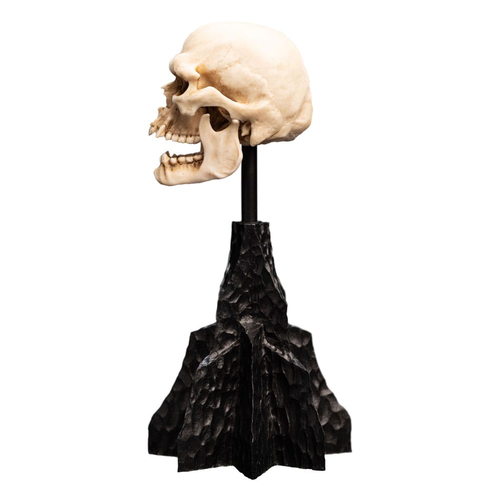 Herr der Ringe Mini Statue Skull of a Mordor Orc 14 cm