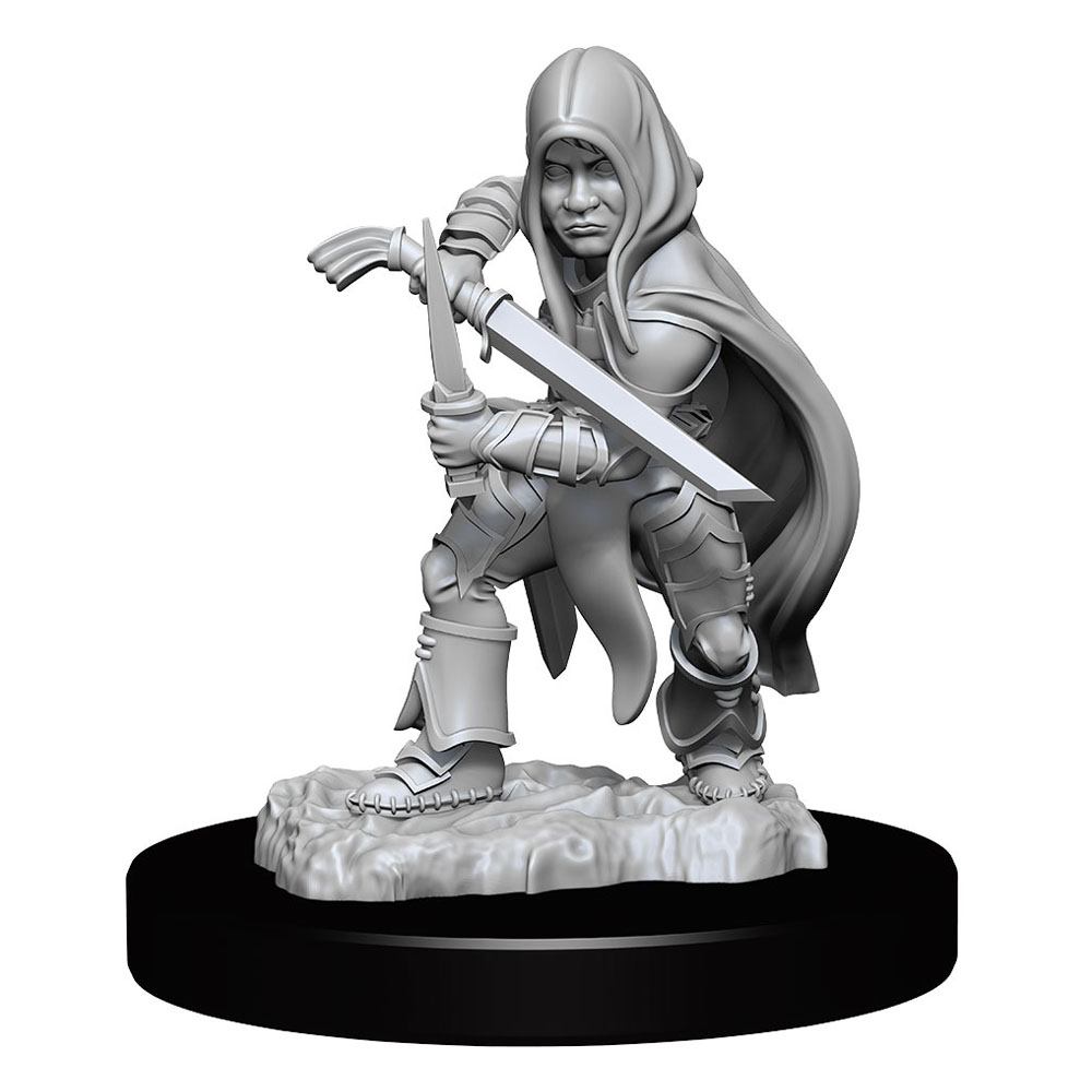 D&D Nolzur's Marvelous Miniatures Unpainted Miniatures Halfling Rogue Male