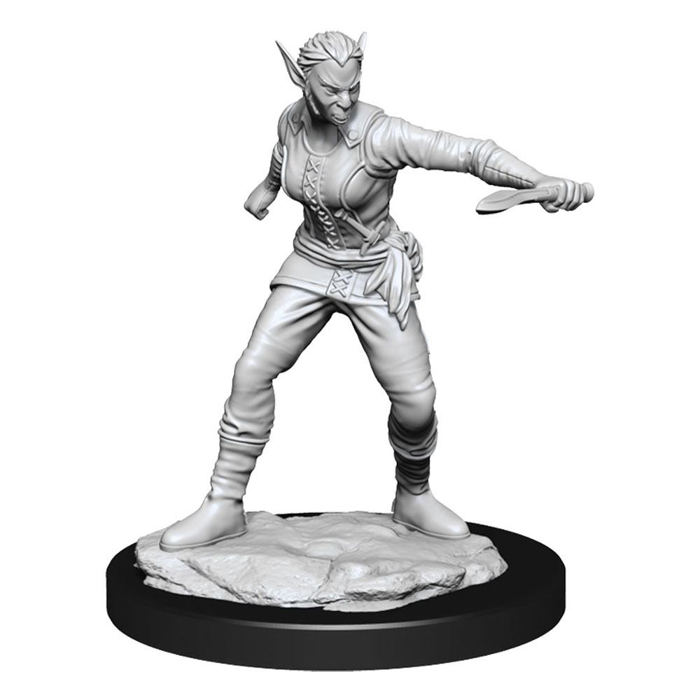 D&D Nolzur's Marvelous Miniatures Unpainted Miniatures Shifter Rogue