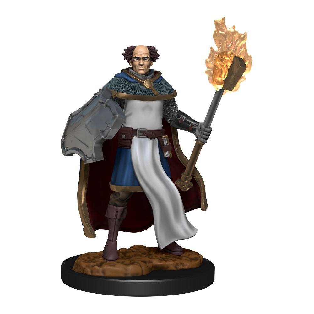 D&D Nolzur's Marvelous Miniatures Unpainted Multiclass Cleric & Wizard Male