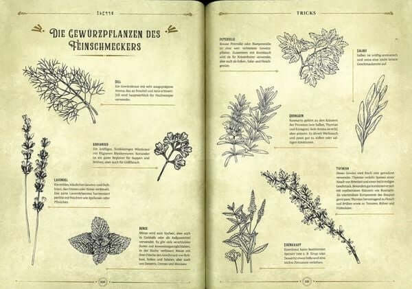 Die legendäre Küche von Zelda: Magische Rezepte inspiriert von der Videogame-Saga