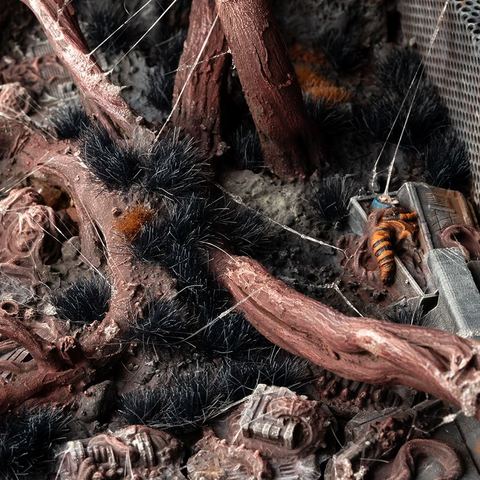 Alien Void Tufts 6 mm - Wild
