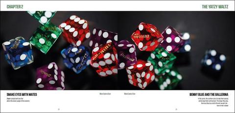 DICE - Rendezvous with Randomness (coffee table photobook of Dice)