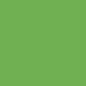 Vallejo Game Color Ink: 205 Wash Green Shade, 17 ml