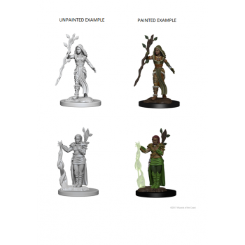 D&D Nolzur's Marvelous Unpainted Miniatures - Human Female Druid
