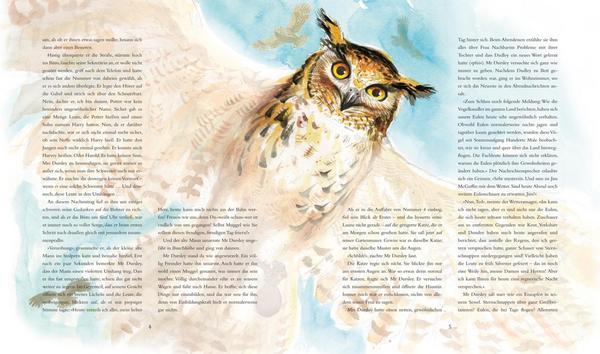Harry Potter und der Stein der Weisen (farbig illustrierte Schmuckausgabe)