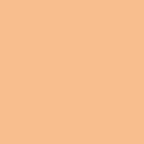 Vallejo Game Color: 099 Cadmium Skin, 17 ml