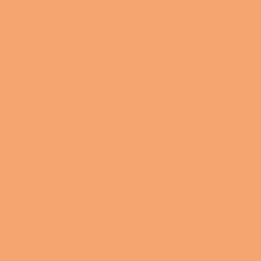 Vallejo Game Color: 004 Elf Skintone, 17 ml