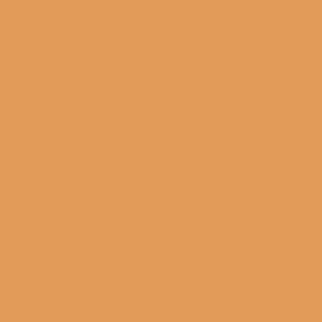 Vallejo Game Color: 036 Bronze Fleshtone, 17 ml